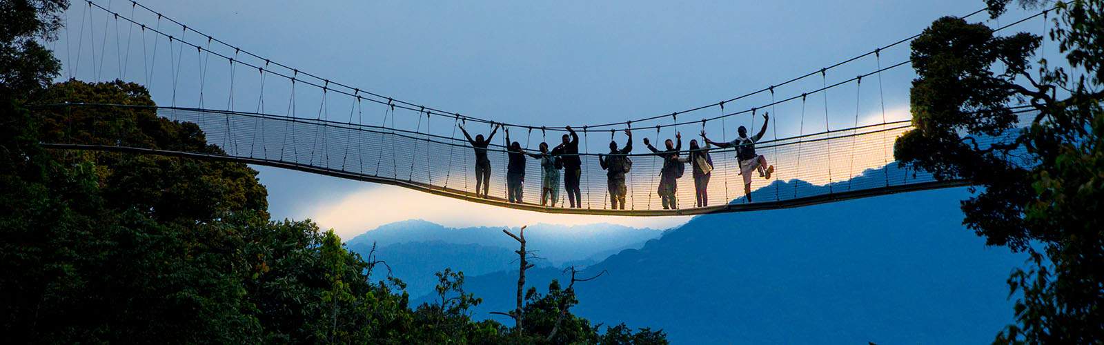 Nyungwe canopy walk